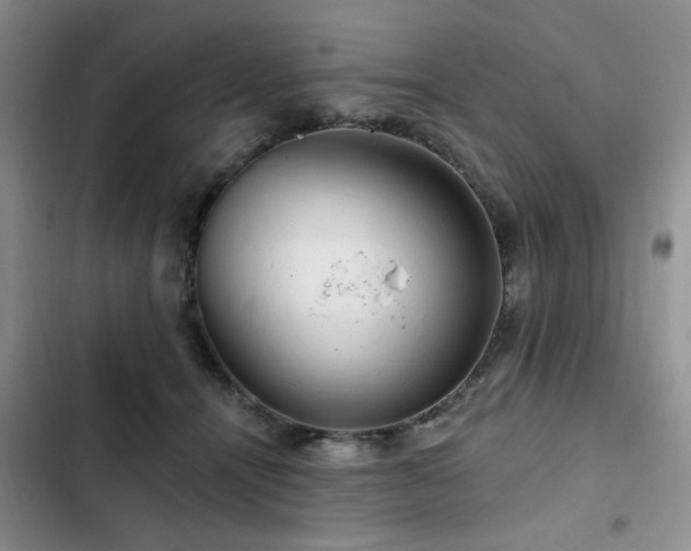 X0000102790464200808181304