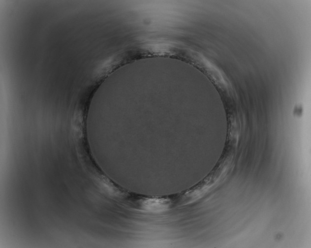 X0000102790465200808181304