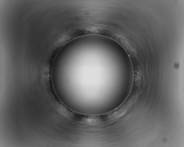 X0000102790466200808181304