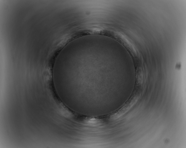 X0000102790467200808181304