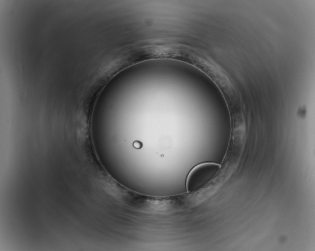 X0000102790469200808181304