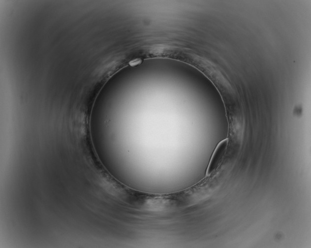 X0000102790470200808181304