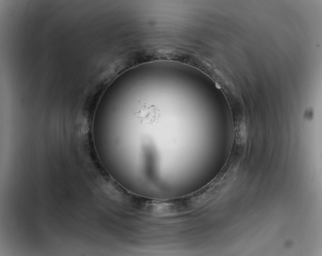X0000102790472200808181304
