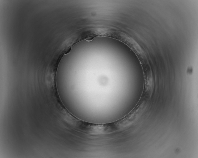 X0000102790473200808181304