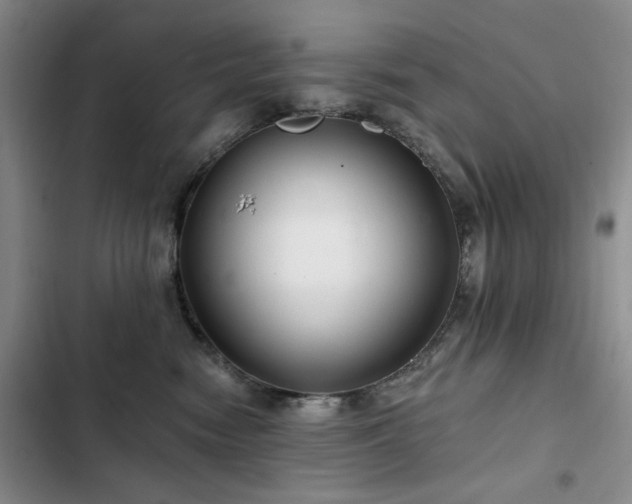 X0000102790474200808181304