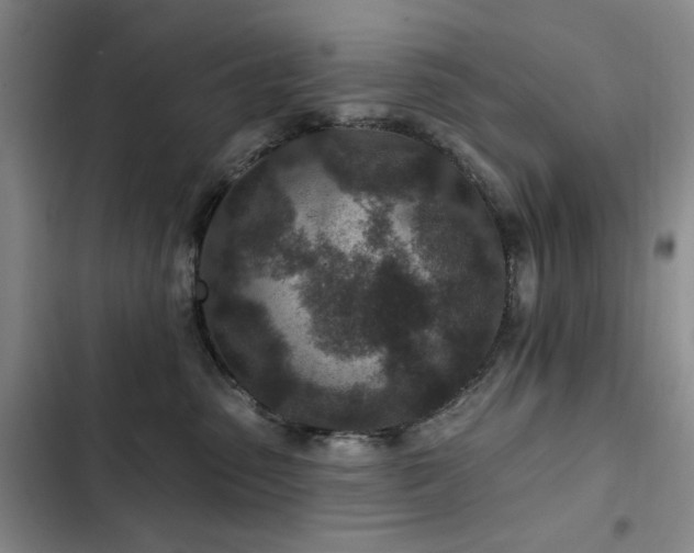 X0000102790475200808181304
