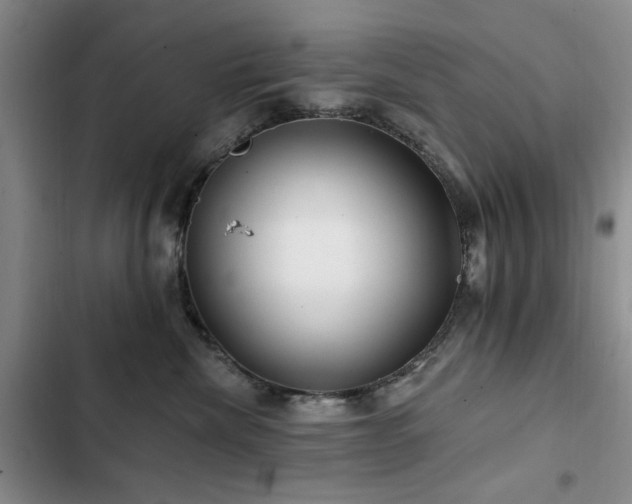 X0000102790476200808181304