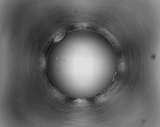 X0000102790477200808181304