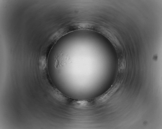 X0000102790478200808181304