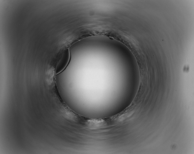 X0000102790480200808181304