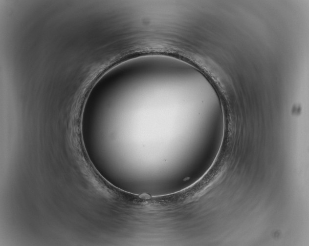 X0000102790481200808181304
