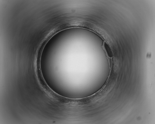 X0000102790482200808181304
