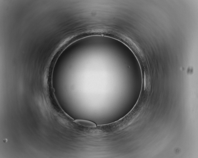 X0000102790483200808181304