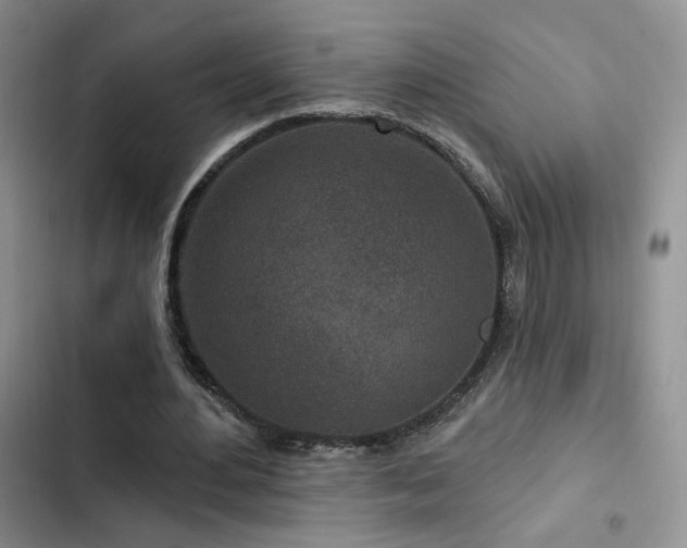 X0000102790484200808181304