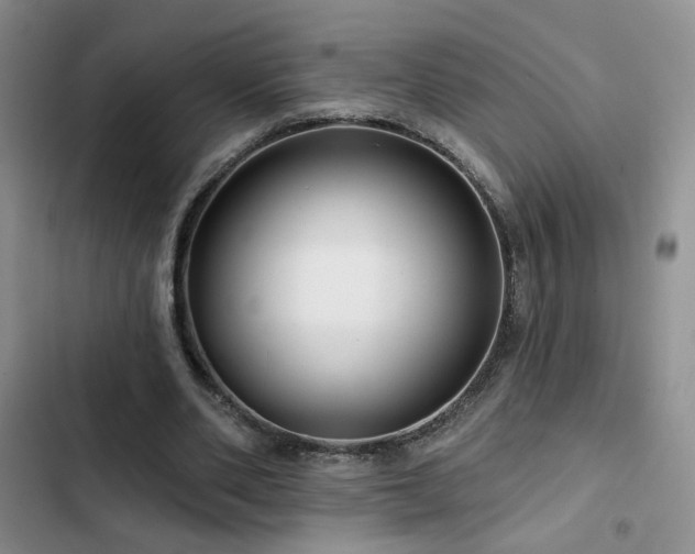 X0000102790486200808181304