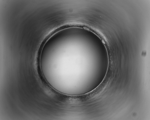 X0000102790487200808181304