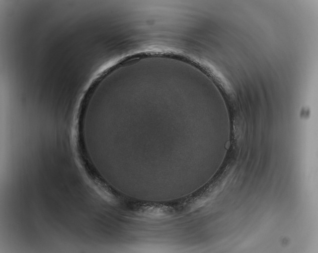 X0000102790488200808181304
