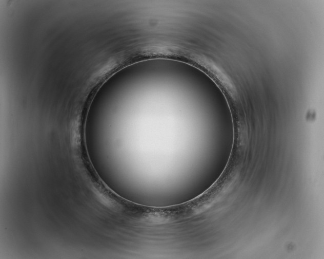 X0000102790489200808181304
