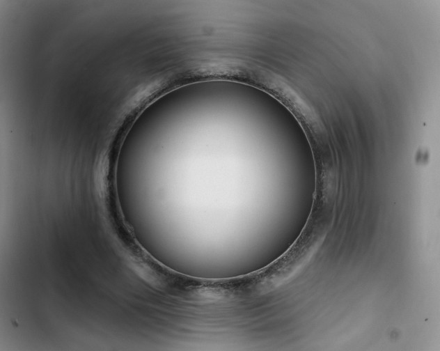 X0000102790490200808181303