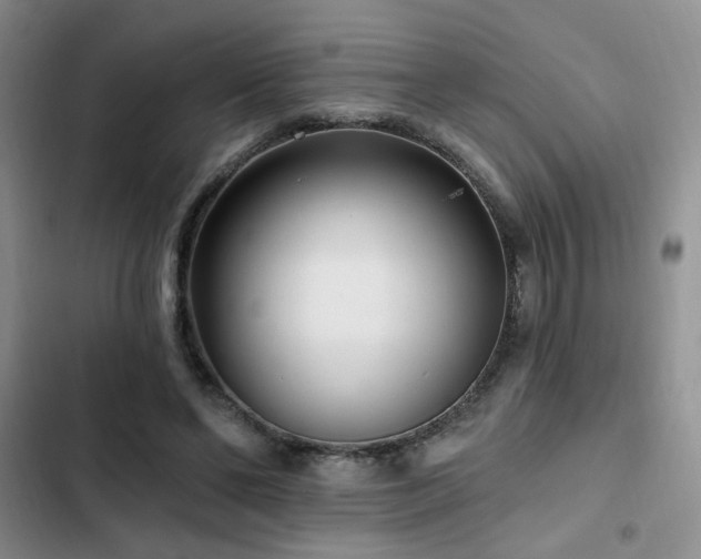 X0000102790494200808181303