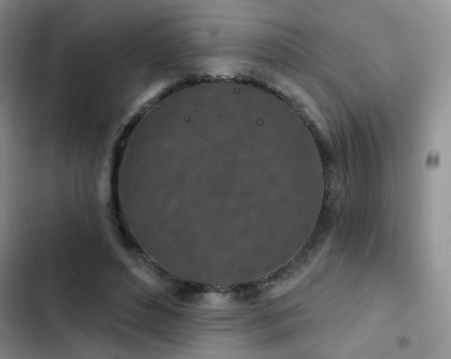 X0000102790496200808181303