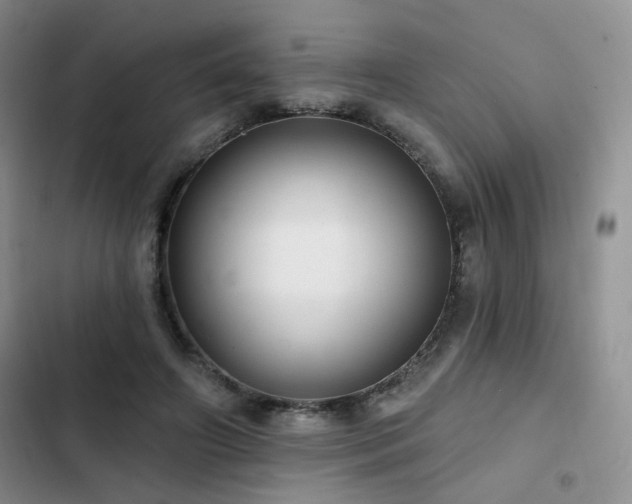 X0000102790498200808181303