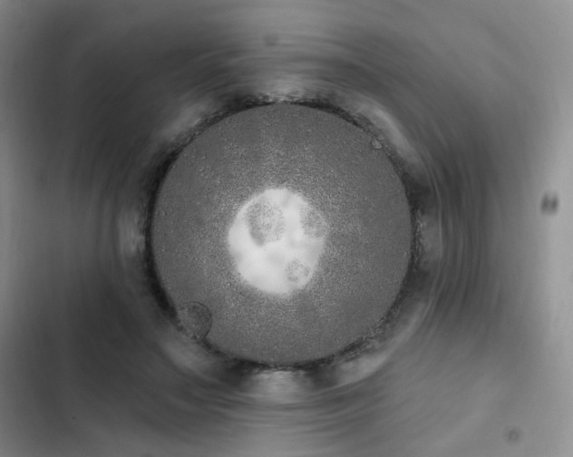 X0000102790499200808181303