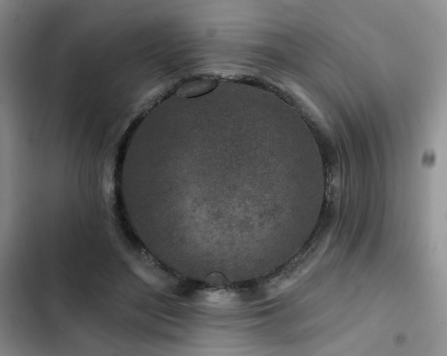 X0000102790500200808181303