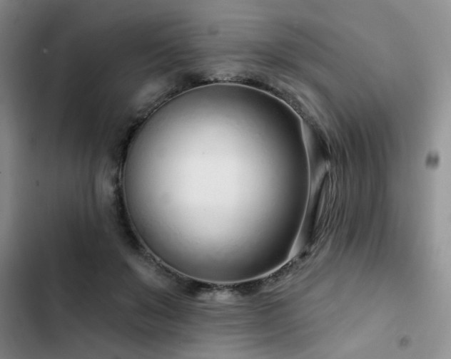 X0000102790503200808181303