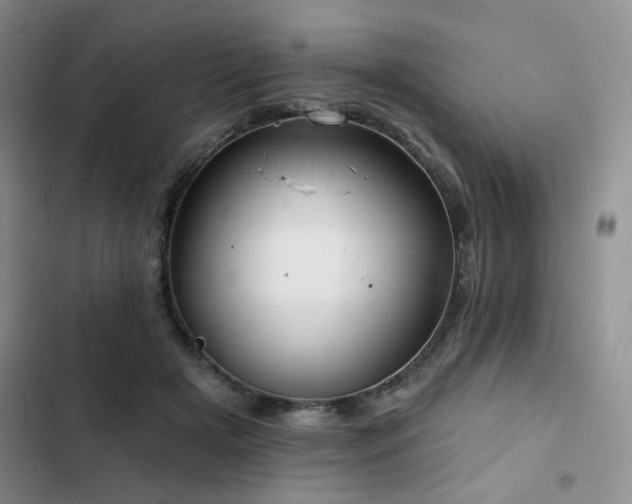 X0000102790505200808181303
