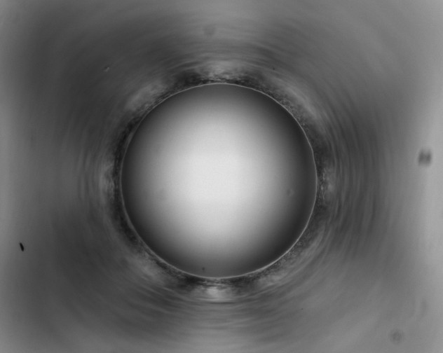 X0000102790506200808181303