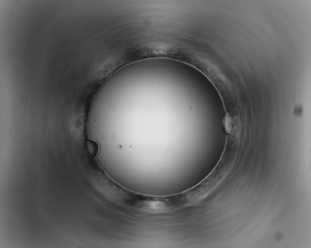 X0000102790509200808181303