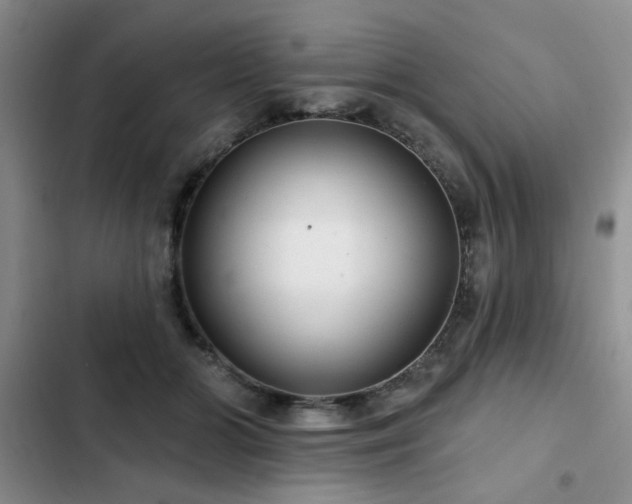 X0000102790510200808181303