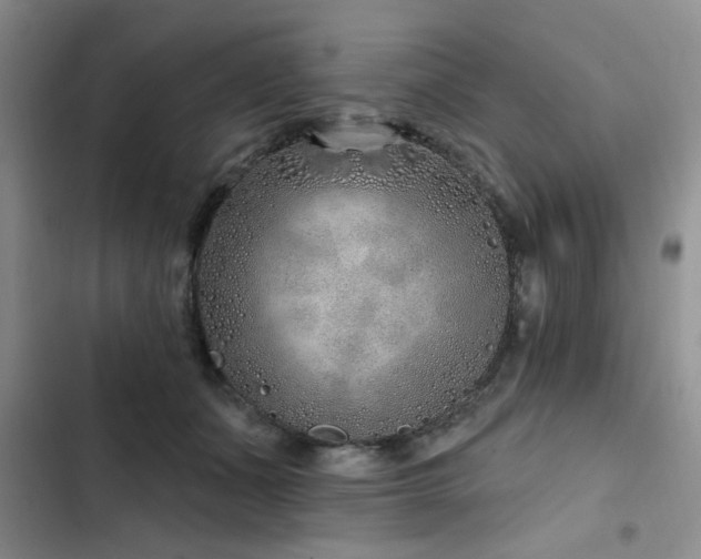 X0000102790511200808181303