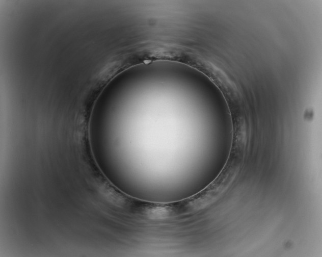 X0000102790513200808181303