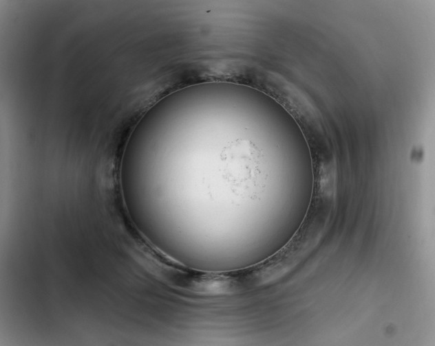 X0000102790514200808181303