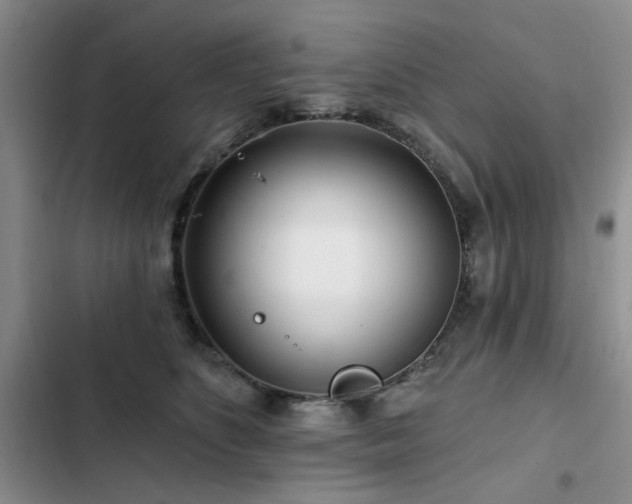 X0000102790516200808181303