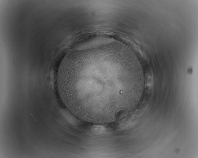 X0000102790519200808181303