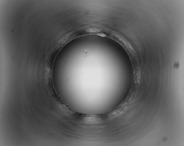 X0000102790521200808181303