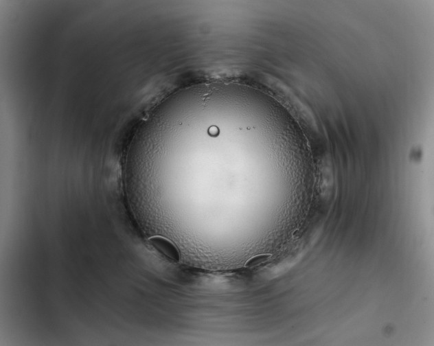 X0000102790523200808181303