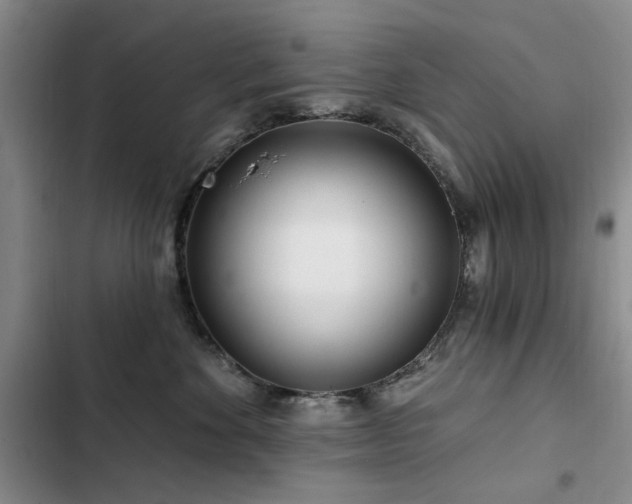 X0000102790524200808181303