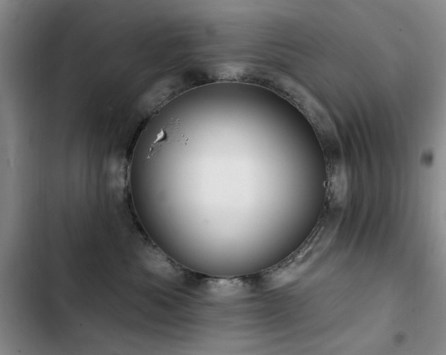 X0000102790525200808181303