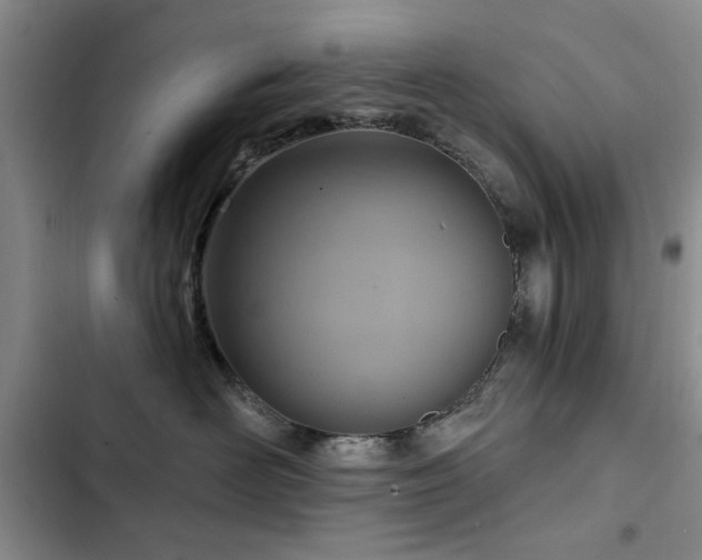 X0000102790526200808181303