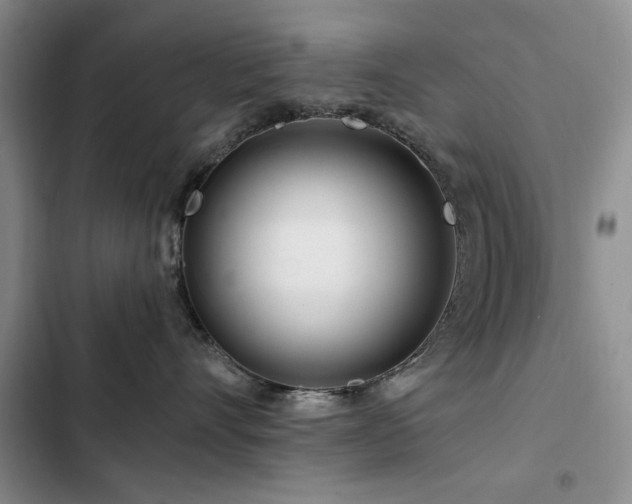 X0000102790528200808181303