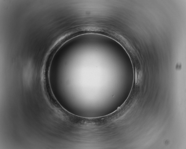 X0000102790531200808181302