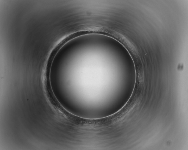 X0000102790532200808181302