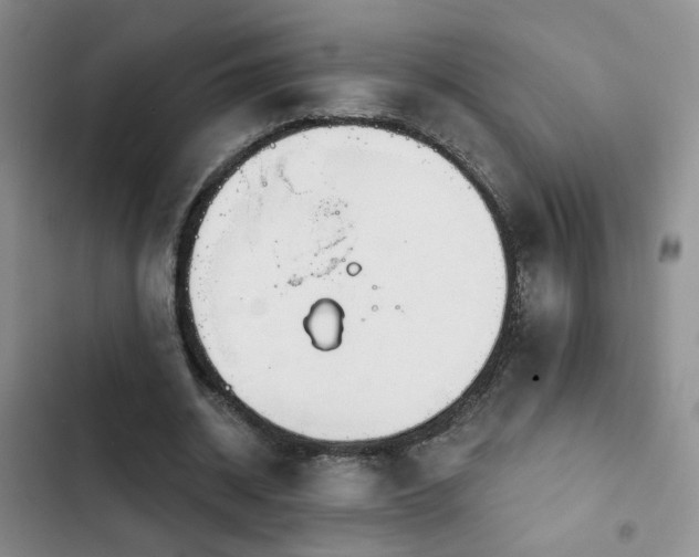 X0000102790534200808181302