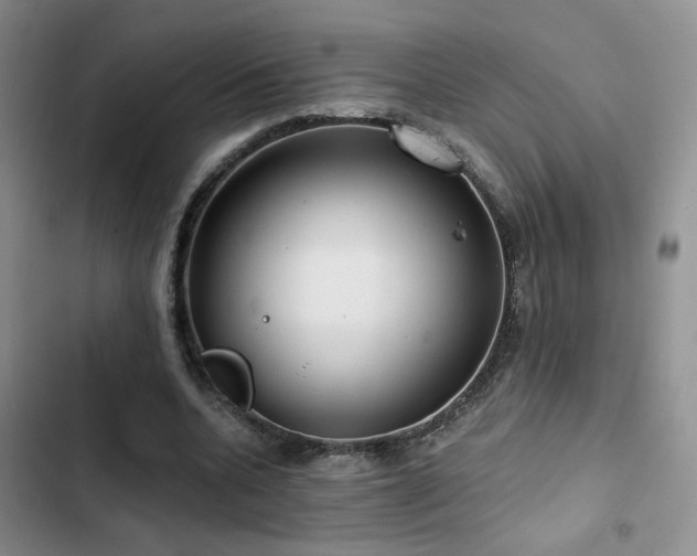 X0000102790536200808181302
