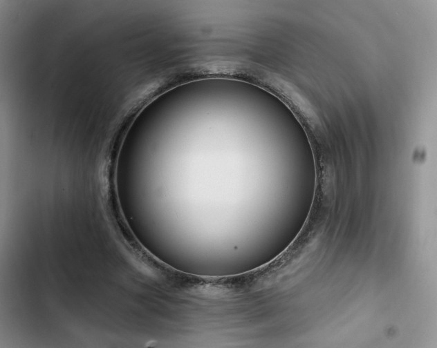 X0000102790537200808181302