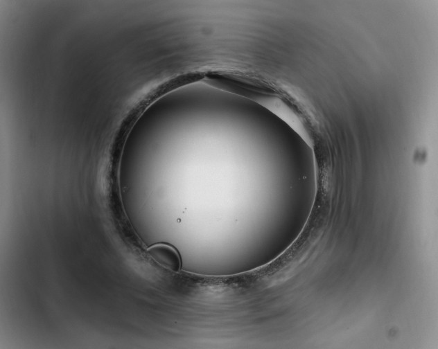 X0000102790540200808181302